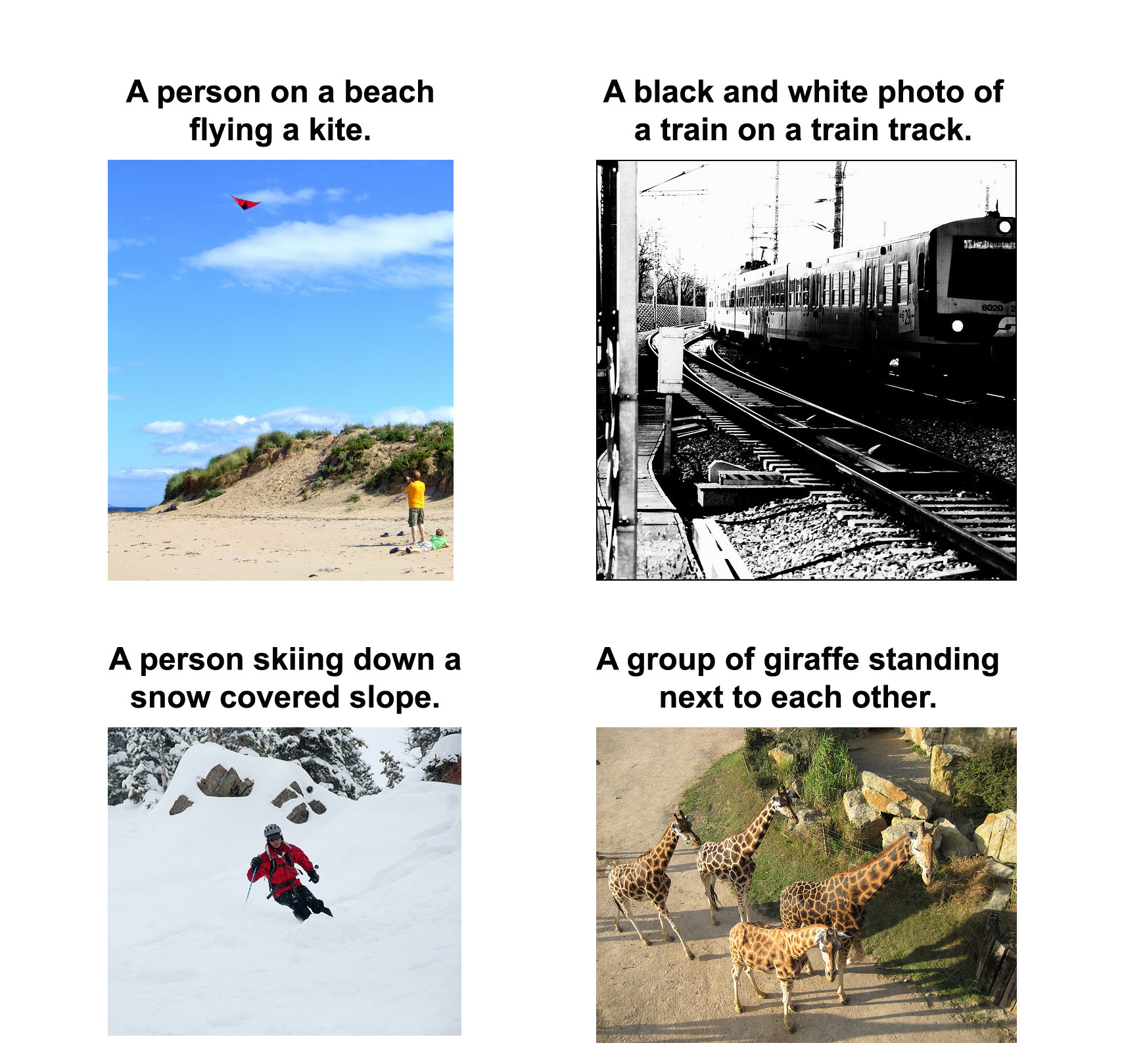 a-neural-image-caption-generator-ai