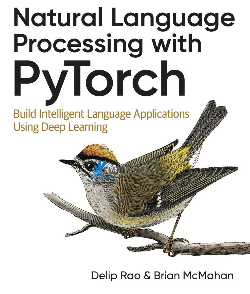 强烈推荐！！2019年新书-《基于PyTorch的自然语言处理》pdf免费分享
