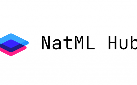 NatML Hub简介