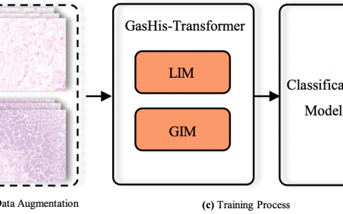 基于Transformer、GasHis-Transformer的胃组织病理学图像分类