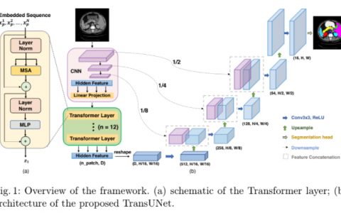 TransUNet：变压器为医学图像分割提供强大的编码器