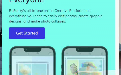Befunky 创意无限，一键美图拼贴大师！