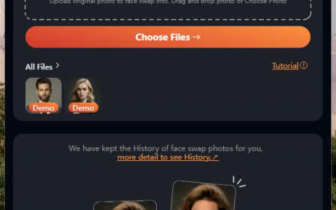 FaceSwap 一键换脸，创意无限，安全高效。