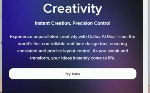 Real-Time Design By Collov 实时AI设计，定制协作新境界